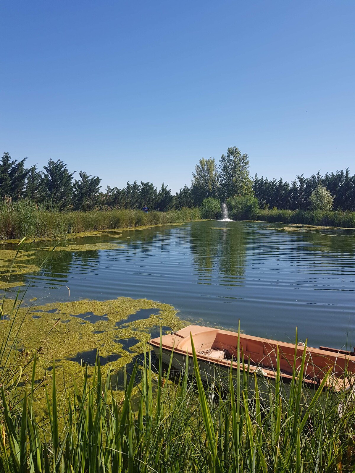 Chalet au bord d’un étang privé avec piscine