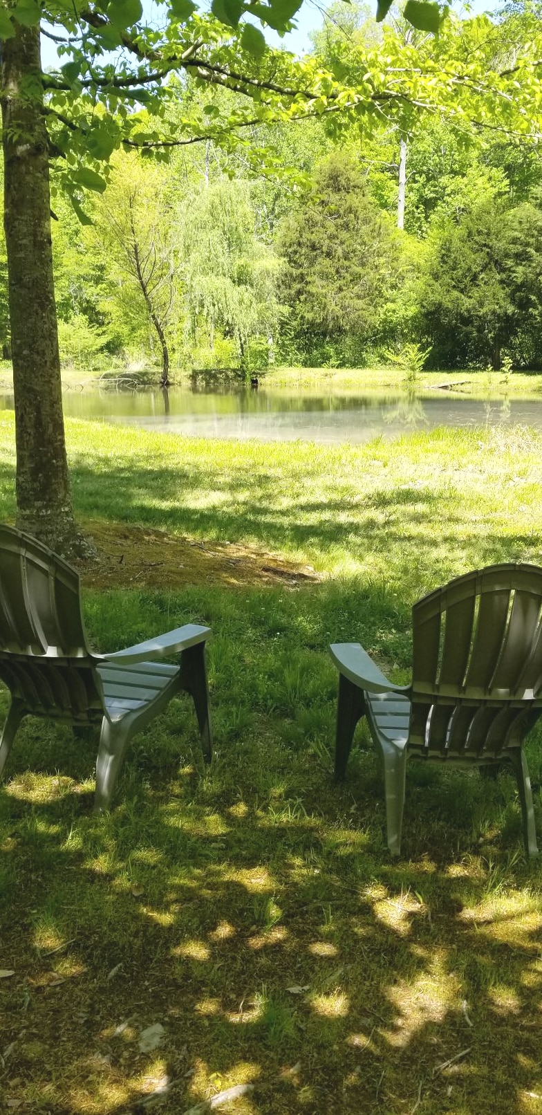 Tranquil cabin on Robbins Nest Pond