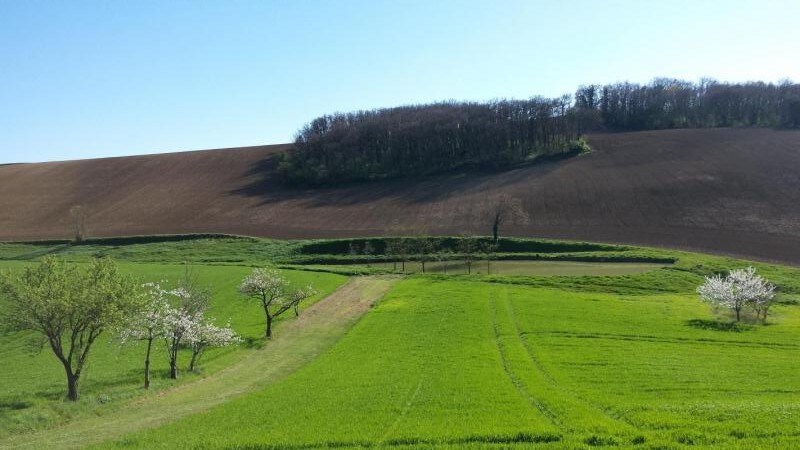 Gite du Bassioué 3 épis