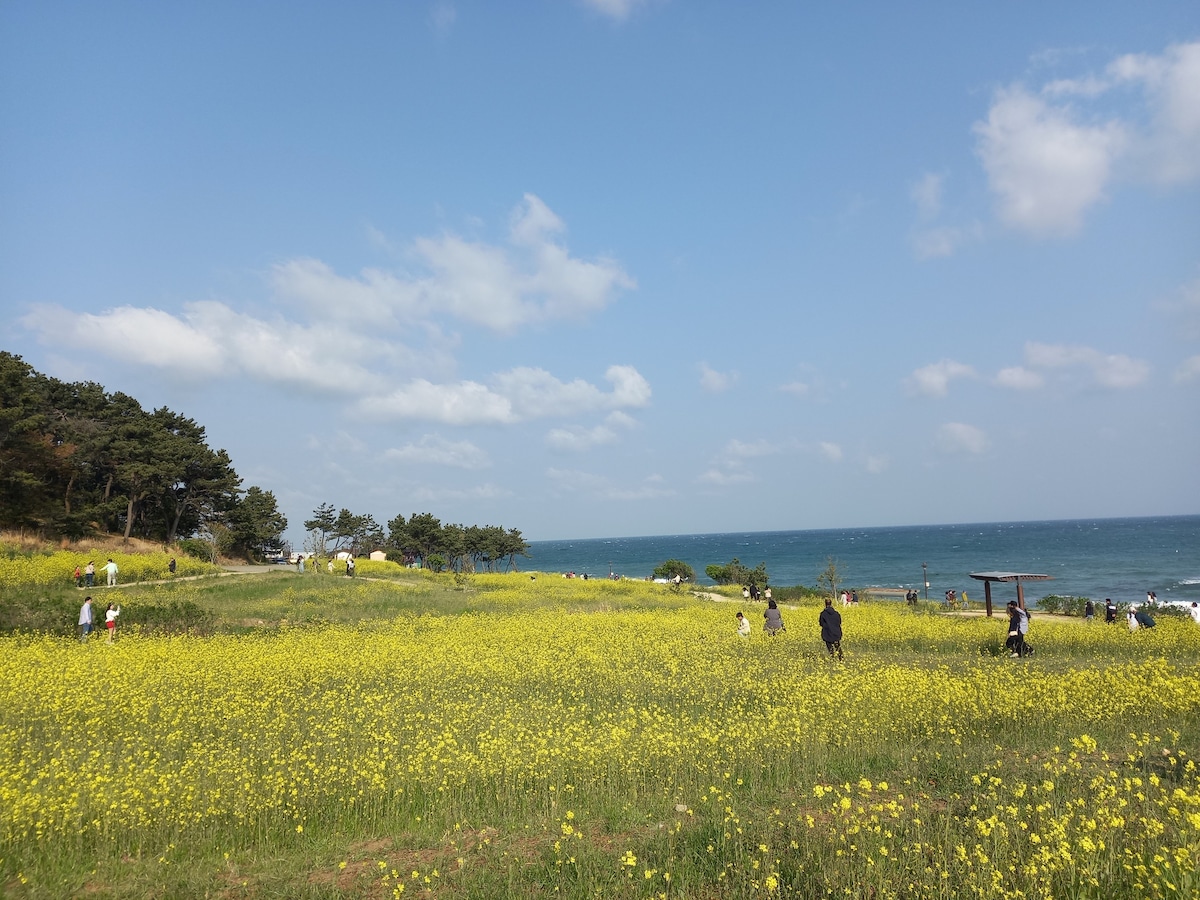 海景~ 30平宽屋，主卧日出景观，住宿与家庭旅行满意！ Daewangam ， Sedo的美丽海景！