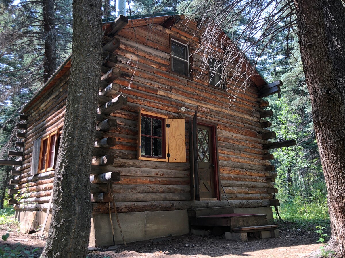 Cabin ~ River ~ Wilderness at the Old Science Camp