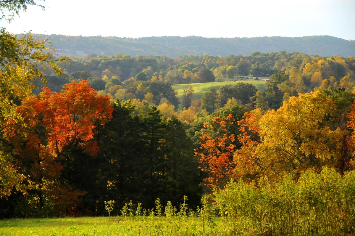 Treetop Suites at Trinity Farms