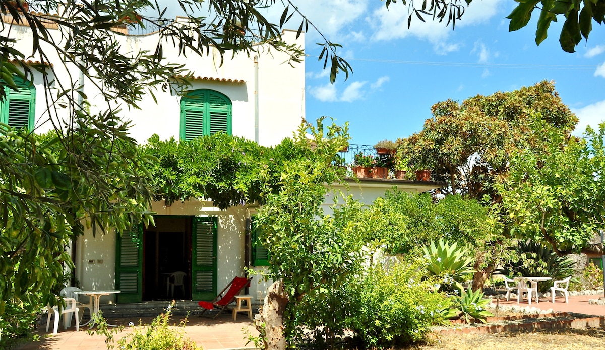 Gardenhouse on the beach Apartment n ° 1