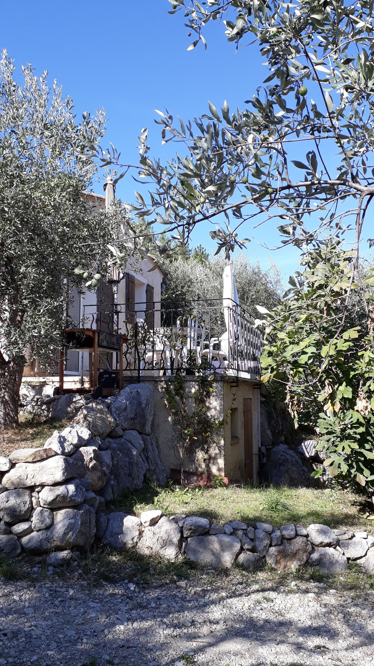 Fauvette别墅位于橄榄树中心地带