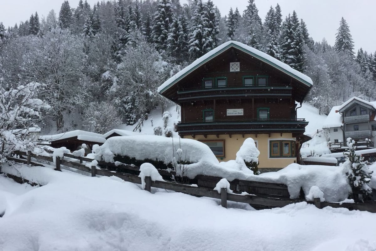 阿尔卑斯山上的私人家庭度假木屋-最多可入住16人