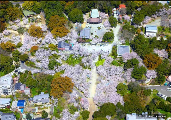 201福冈狗猫屋距车站8分钟。