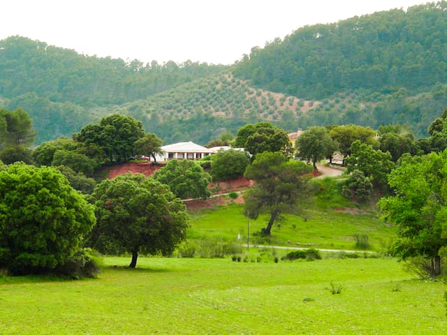 Villaverde de Guadalimar的民宿