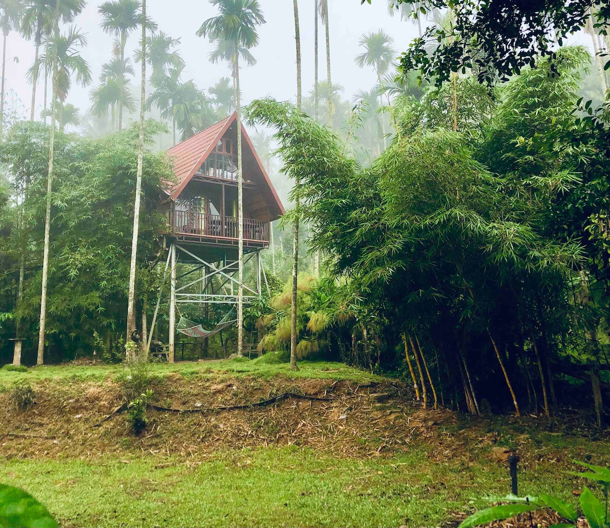 RiverTree Duplex - Riverside Plantation TreehouseAC