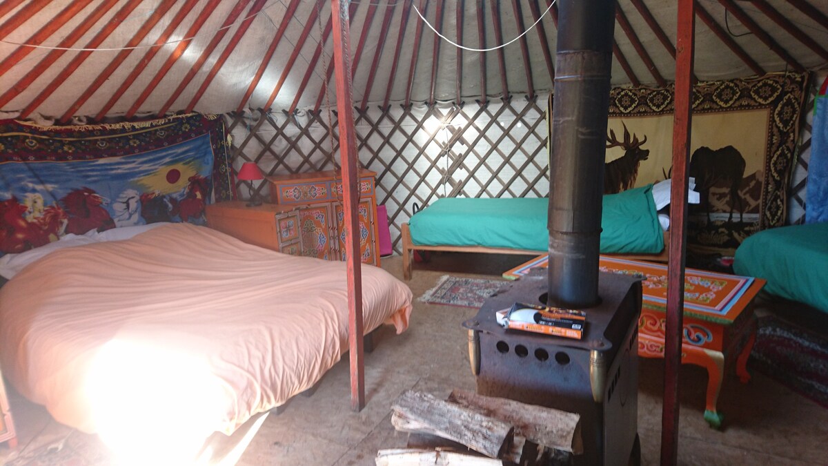 Gauchoux yurts
