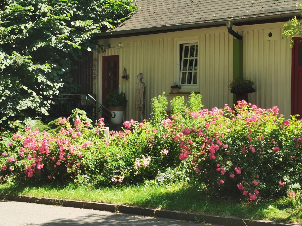 Ferienwohnung  "See-Pur" direkt am Malchiner See