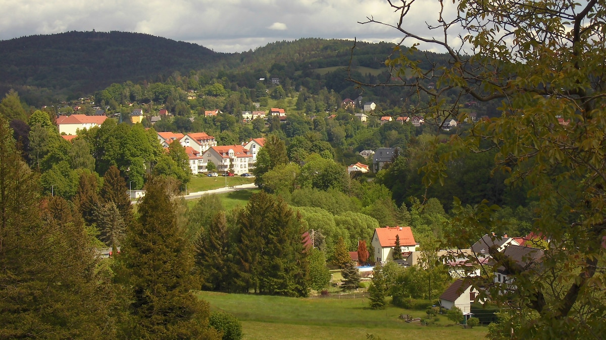 瑞士萨克森（ Saxon Switzerland ）景观公寓