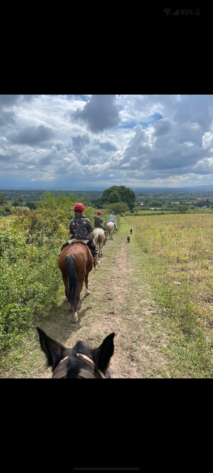 Campamento Paseo a caballo