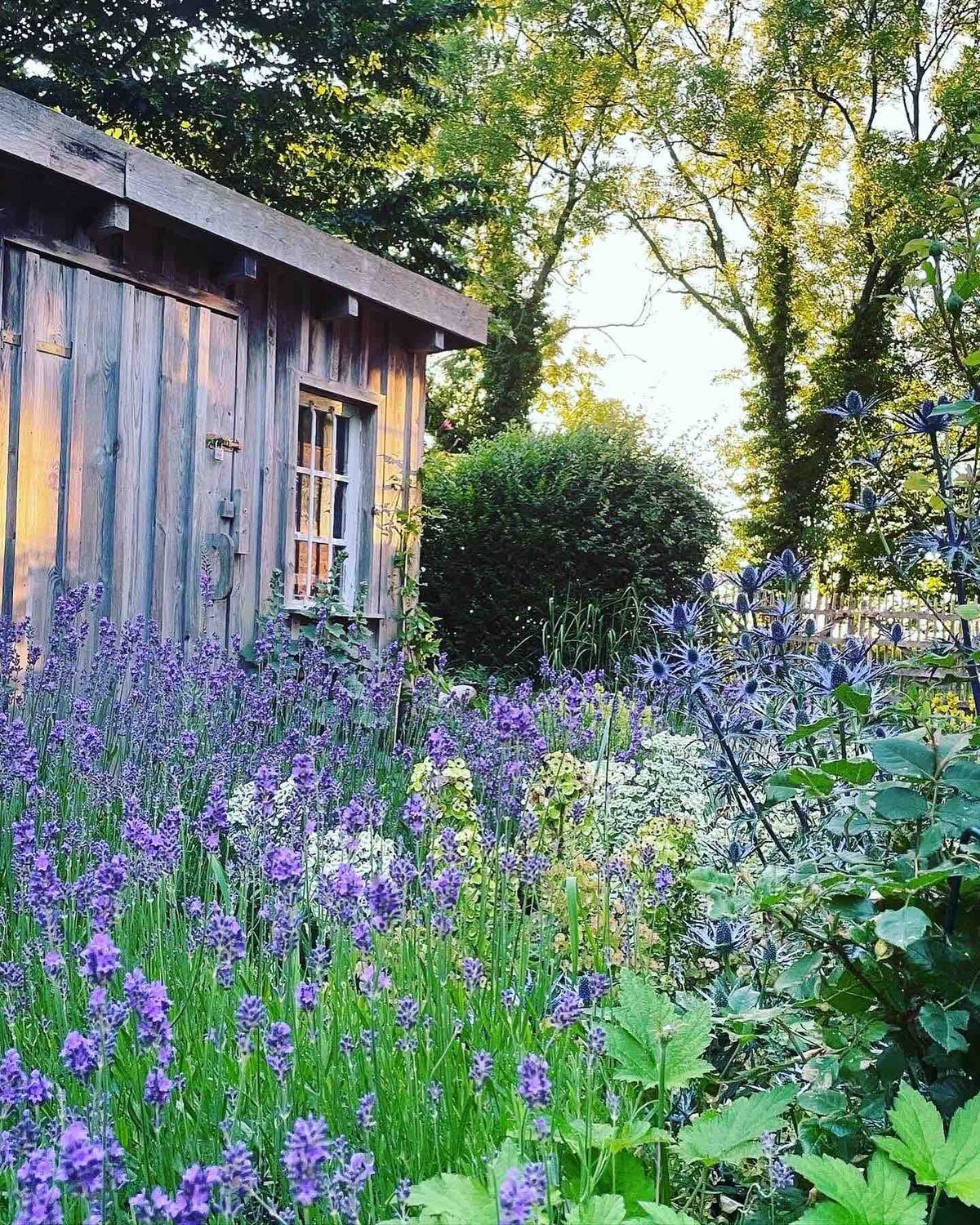 Schleihaus Sensby - Modern cottage & large garden