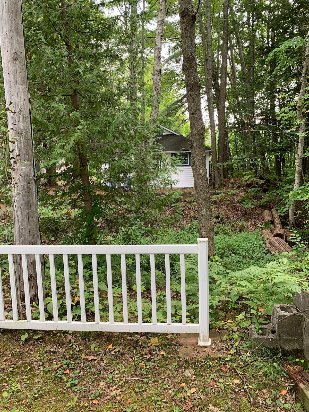 Cozy cottage minutes to beautiful Georgian Bay