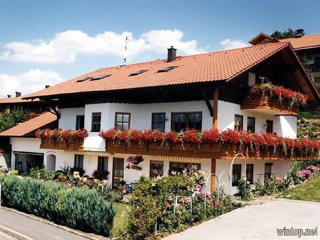 Ferienwohnungen Kasparbauer (Regen), Ferienwohnung Typ 3 (50qm) mit Terrasse und Küchenzeile