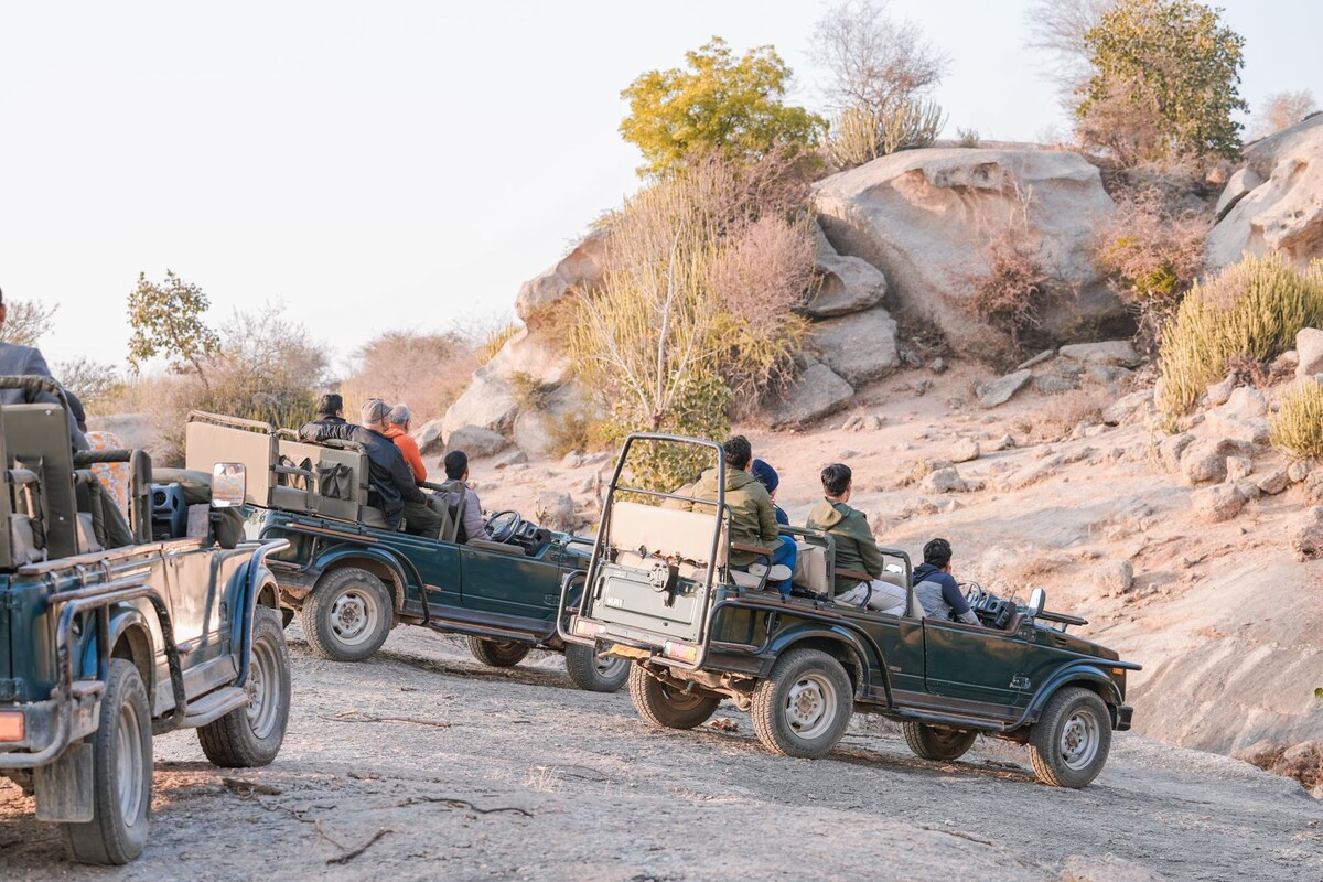 jawai hills