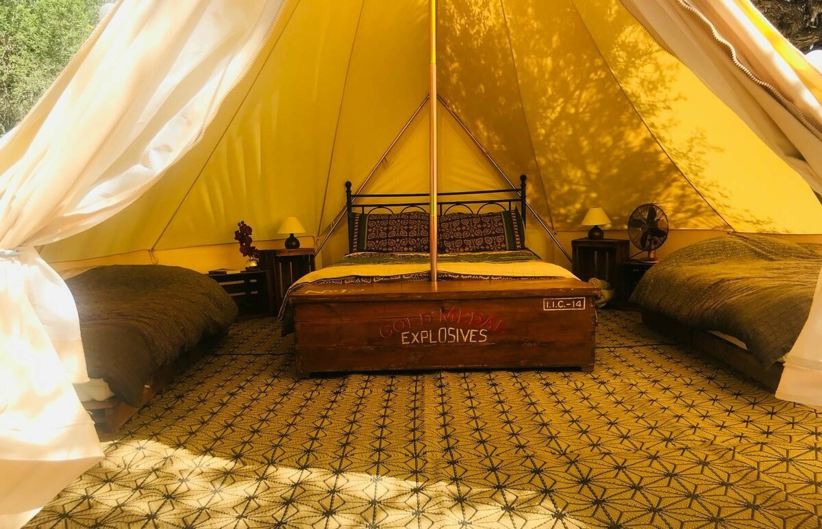 Family Bell Tent at Cactus Lodge