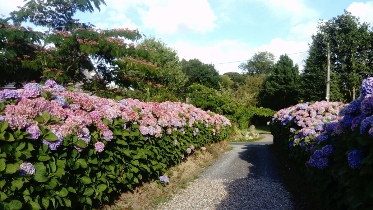 Gite les Hydrangeas in Angerville la martel