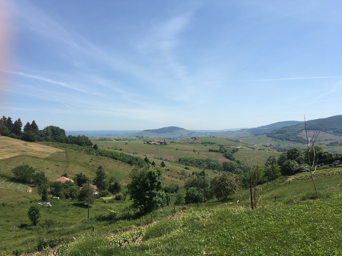 博若莱（ Beaujolais ）的神奇美景