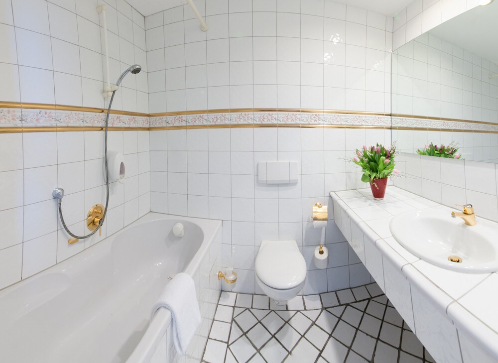The Medusa酒店（ Lindau am Bodensee ） ，三人间，配备卫生间和淋浴间