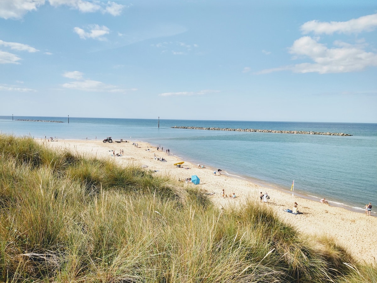 Dune Roamin ： Sea Palling 's Treasure -现在有电视