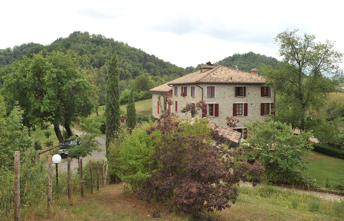 L'Ulivo_Agriturismo Campo del Pillo