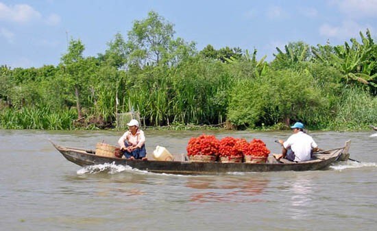 湄公河三角洲3天寄宿家庭套餐之旅