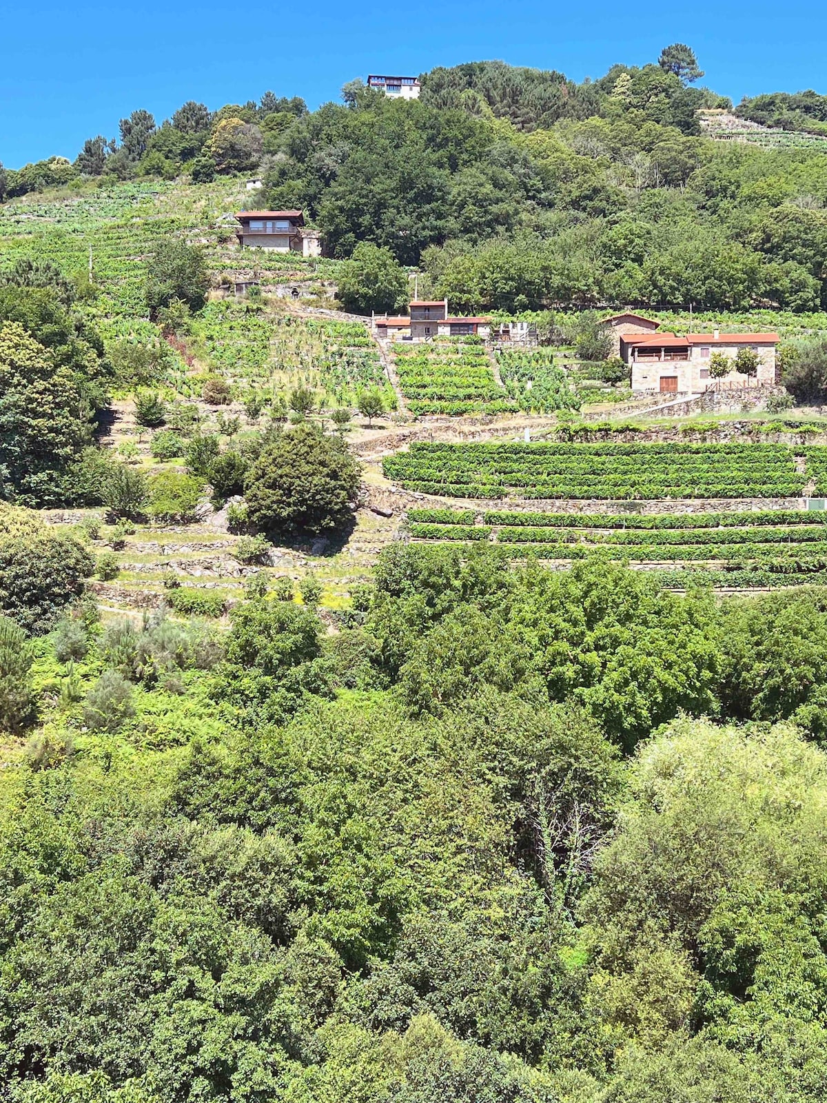 Apedeceo Belesar别墅， Ribeira Sacra ，加利西亚