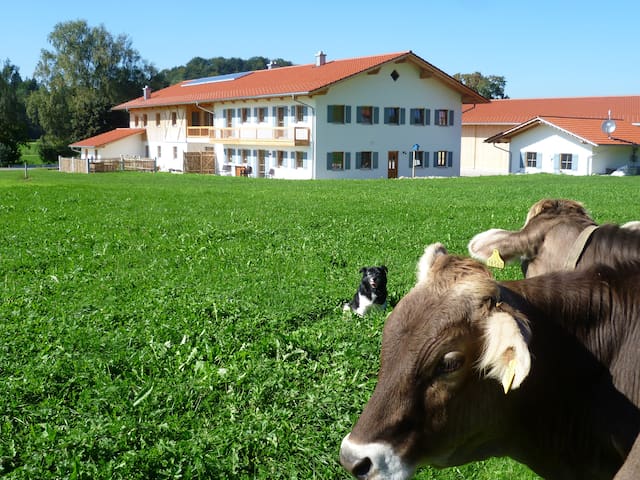 Kaltental/Frankenhofen的民宿