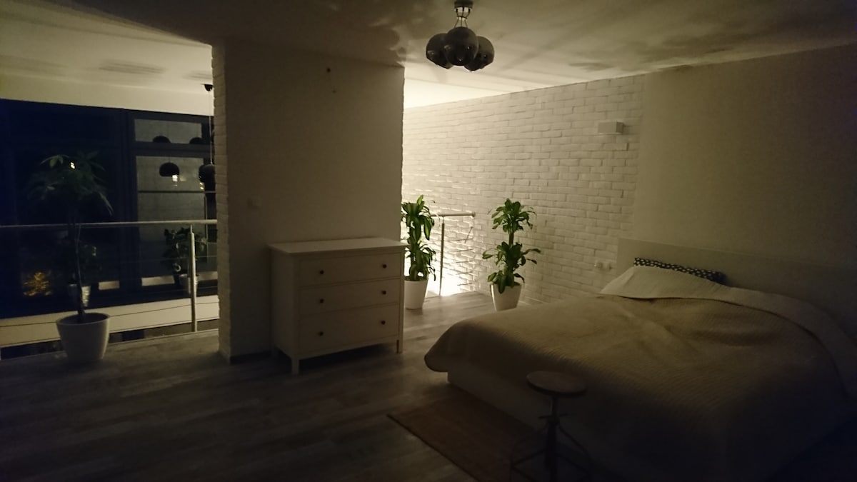 Apartament Loft 100平方米Centrum Bydgosz