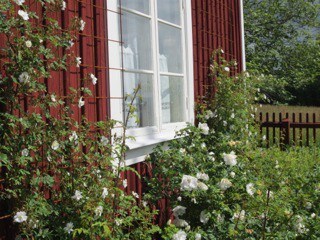 Siljan在Siljansnäs的Cottage