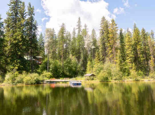 带您私人湖泊的Wildwood Cabin