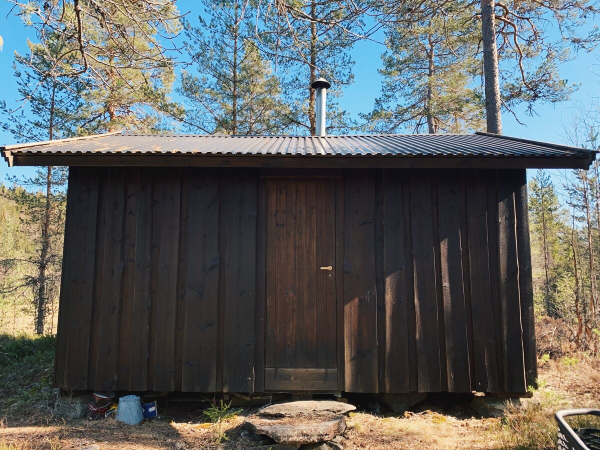 森林中部的小木屋-距离奥斯陆仅1小时车程