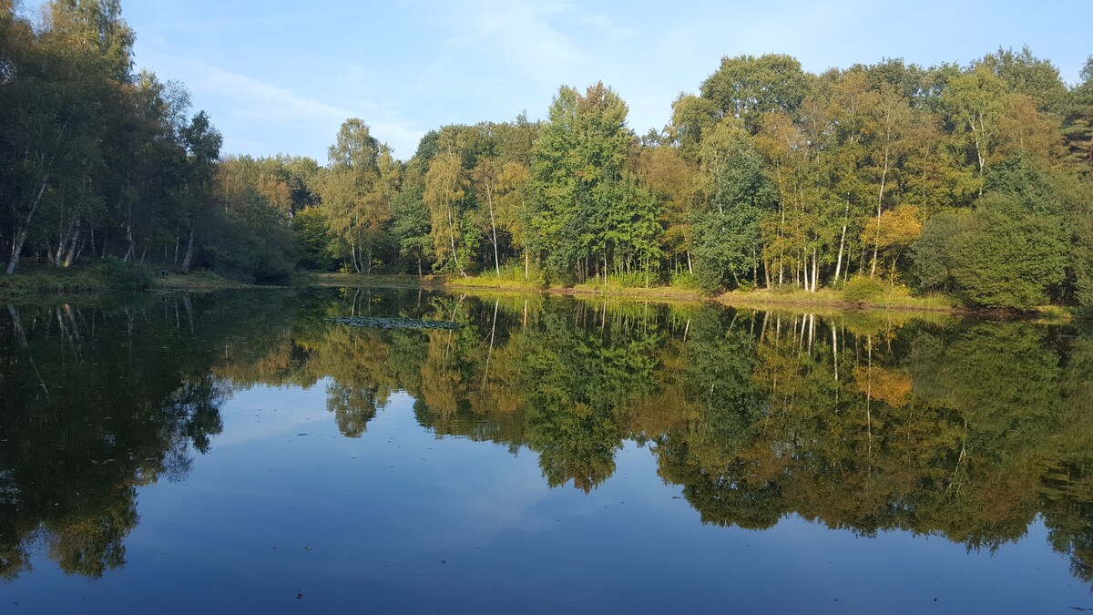 带壁炉和大型花园的森林小屋， Ommen （ Ov ）