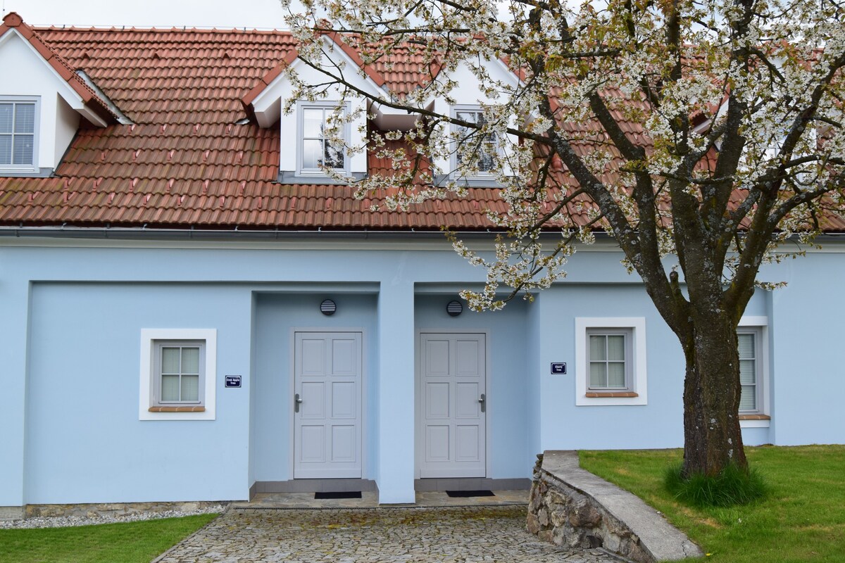 CherryTreeLodge quiet village near Cesky Krumlov