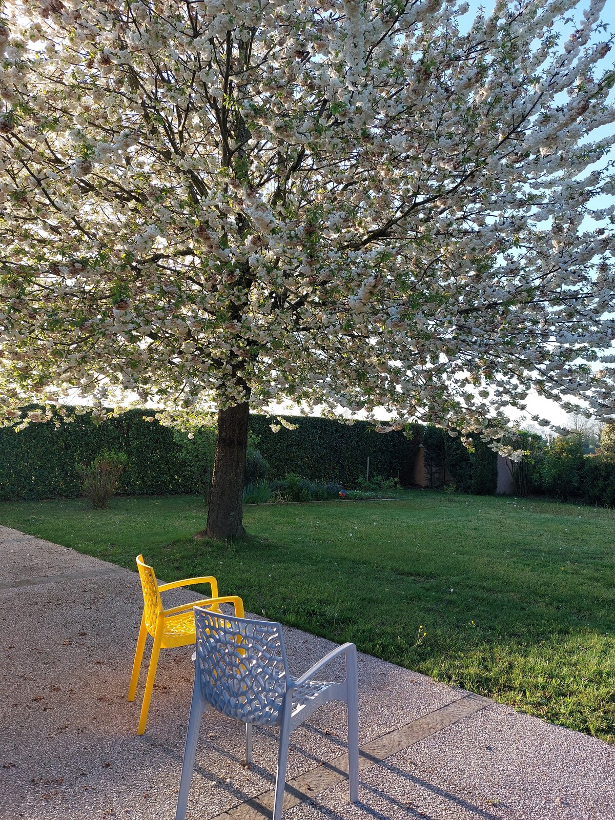 Maison familiale de plain-pied avec jardin