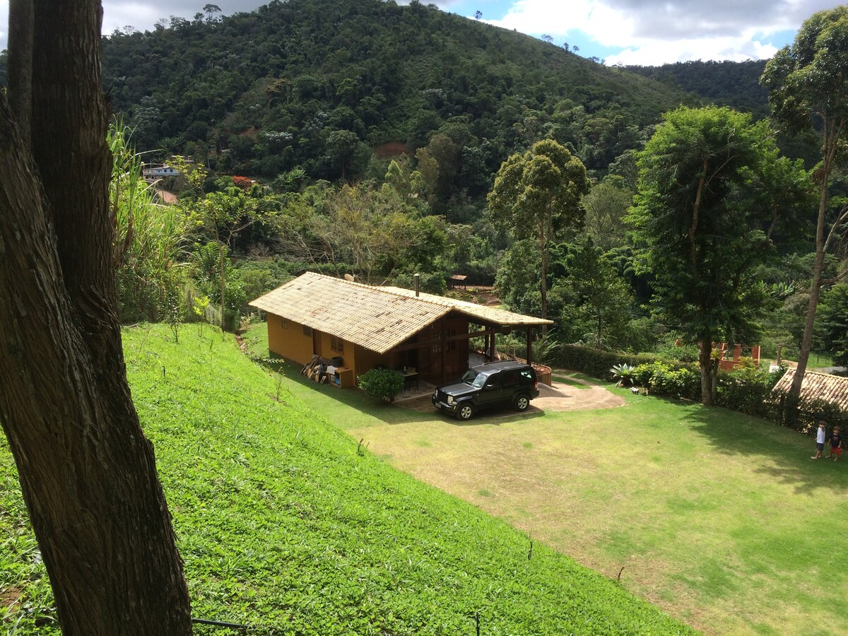 俯瞰绿色景观的藤谷遗址。