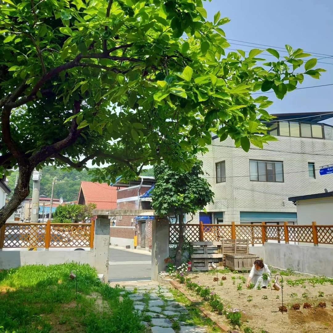 Taehwa Housing -城市情感住宿，讲述「休息」园艺的故事