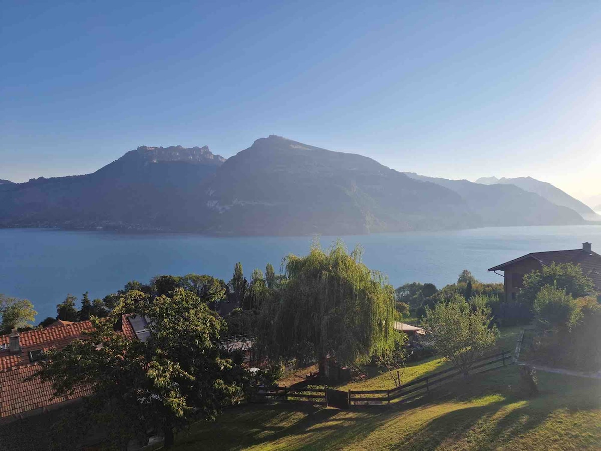 Schöne Wohnung mit Panorama-Blick auf See und Berg