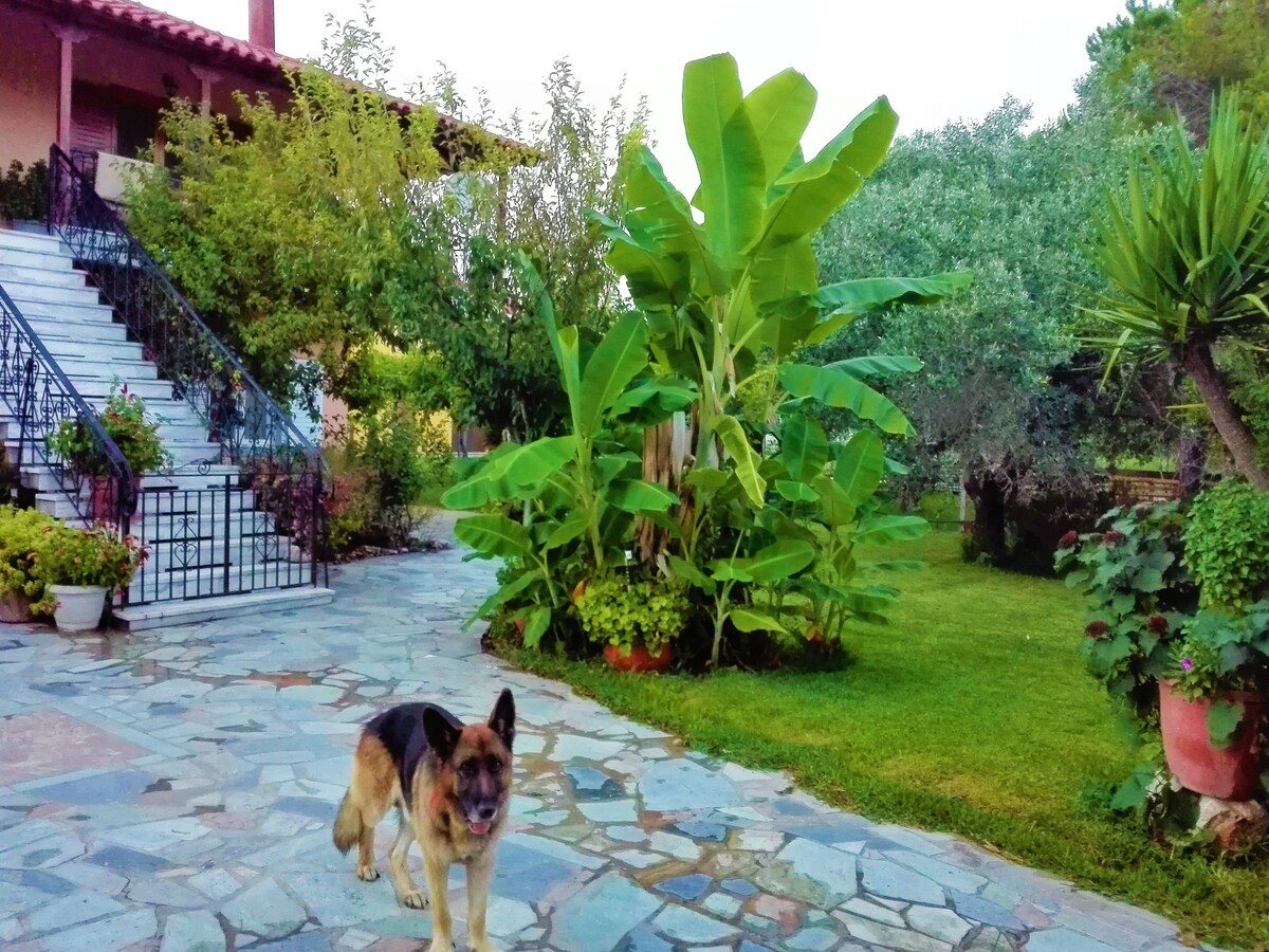 Cottage House,with big garden & lawn,at Kourouta.