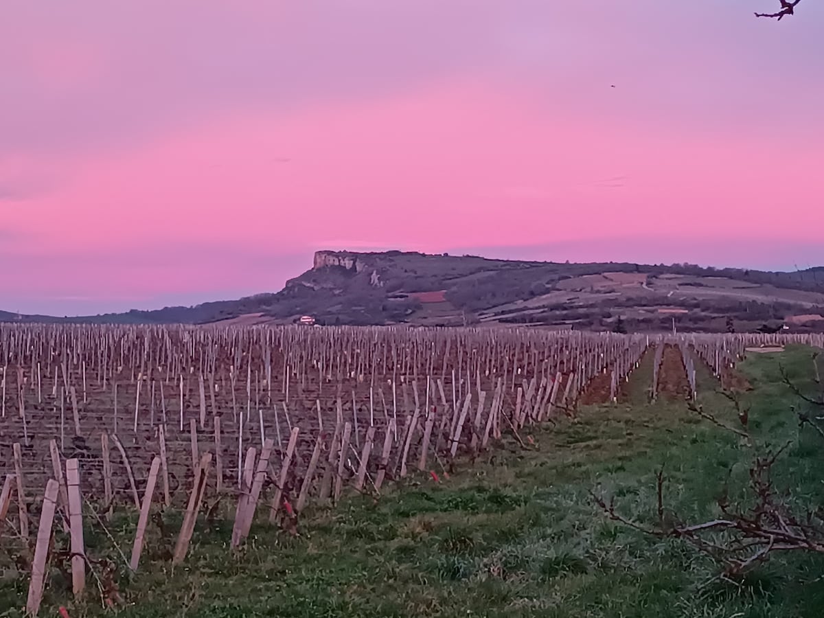 Villa au cœur des vignes