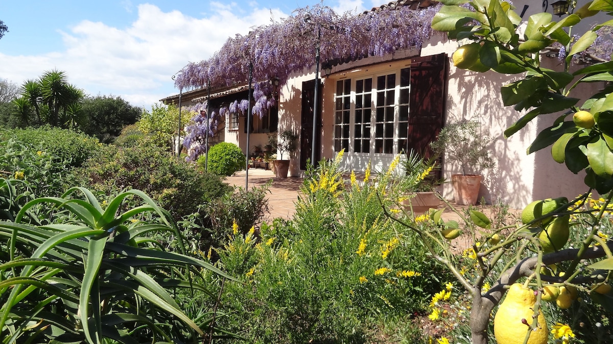 Charming b&b close to Cannes