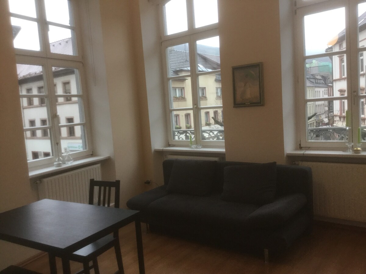 位于Neustadt Weinstraße中心的绝佳公寓！