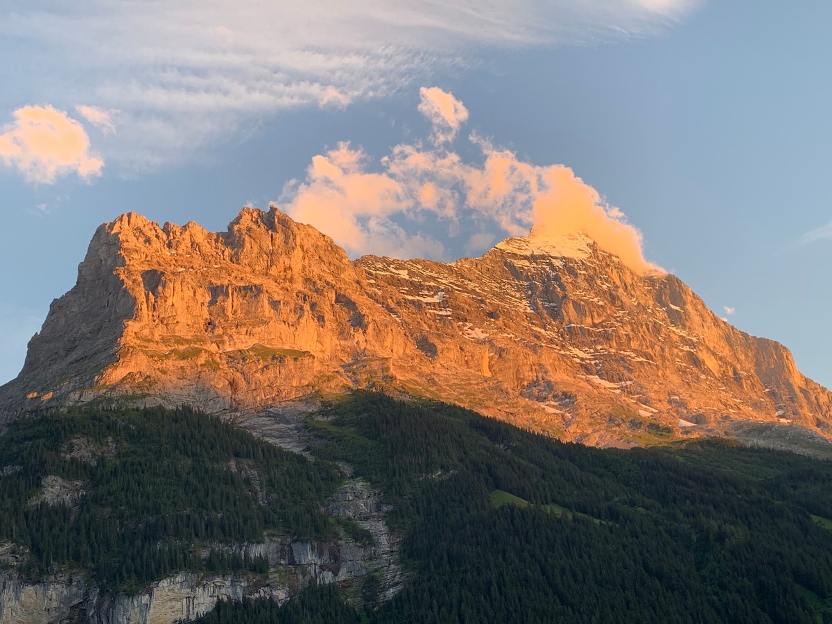 Grindelwald WHG完美的山景观Eiger/Jungfrau