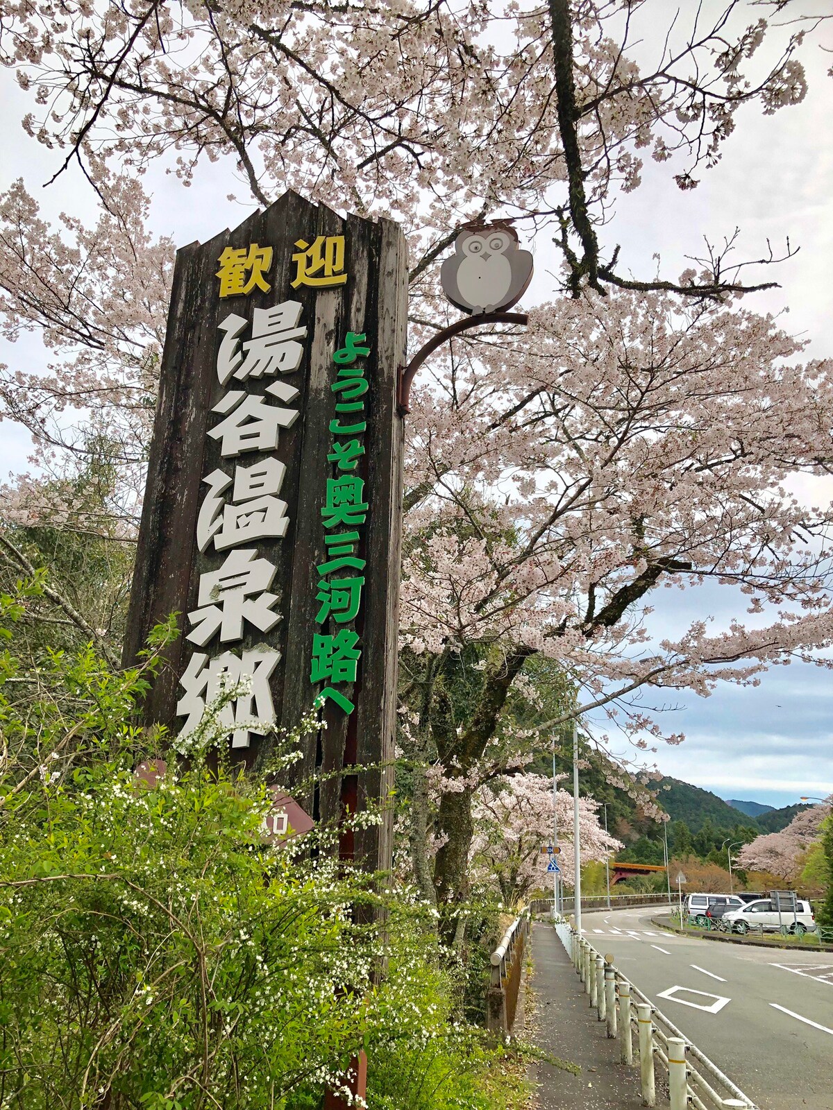 Yuya-onsen湯谷温泉 日式温泉酒店