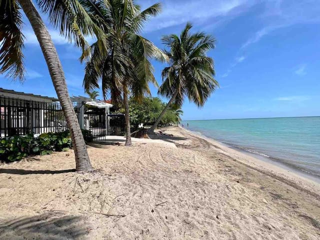 卡沃罗霍(Cabo Rojo)的民宿