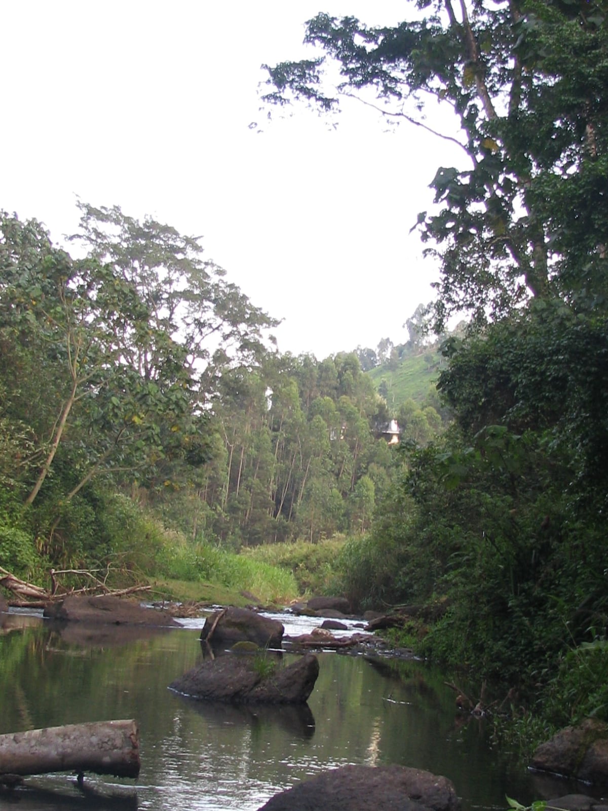 Kimakia Tea Cottages 1, Aberdare Mountain Range