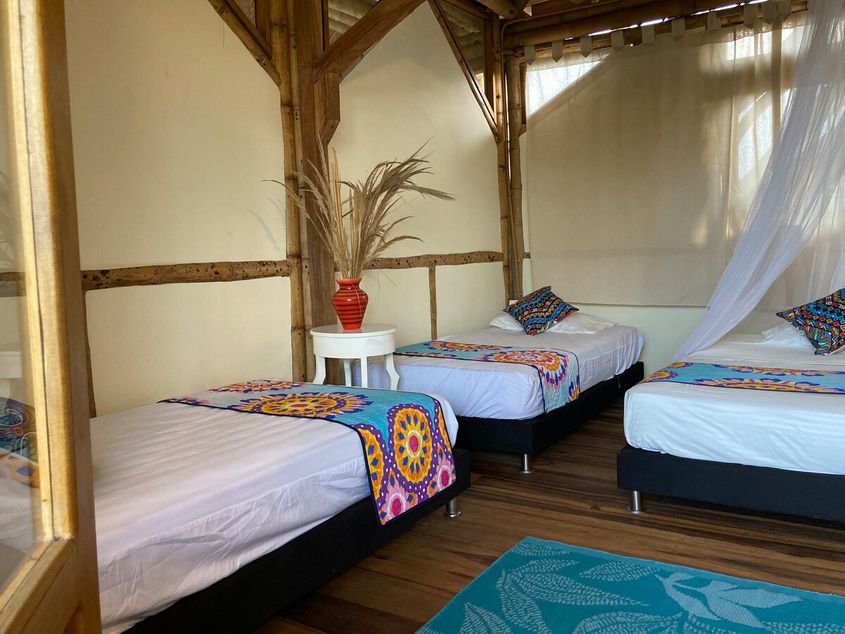 Dreamy and comfortable ecolodge by the sea