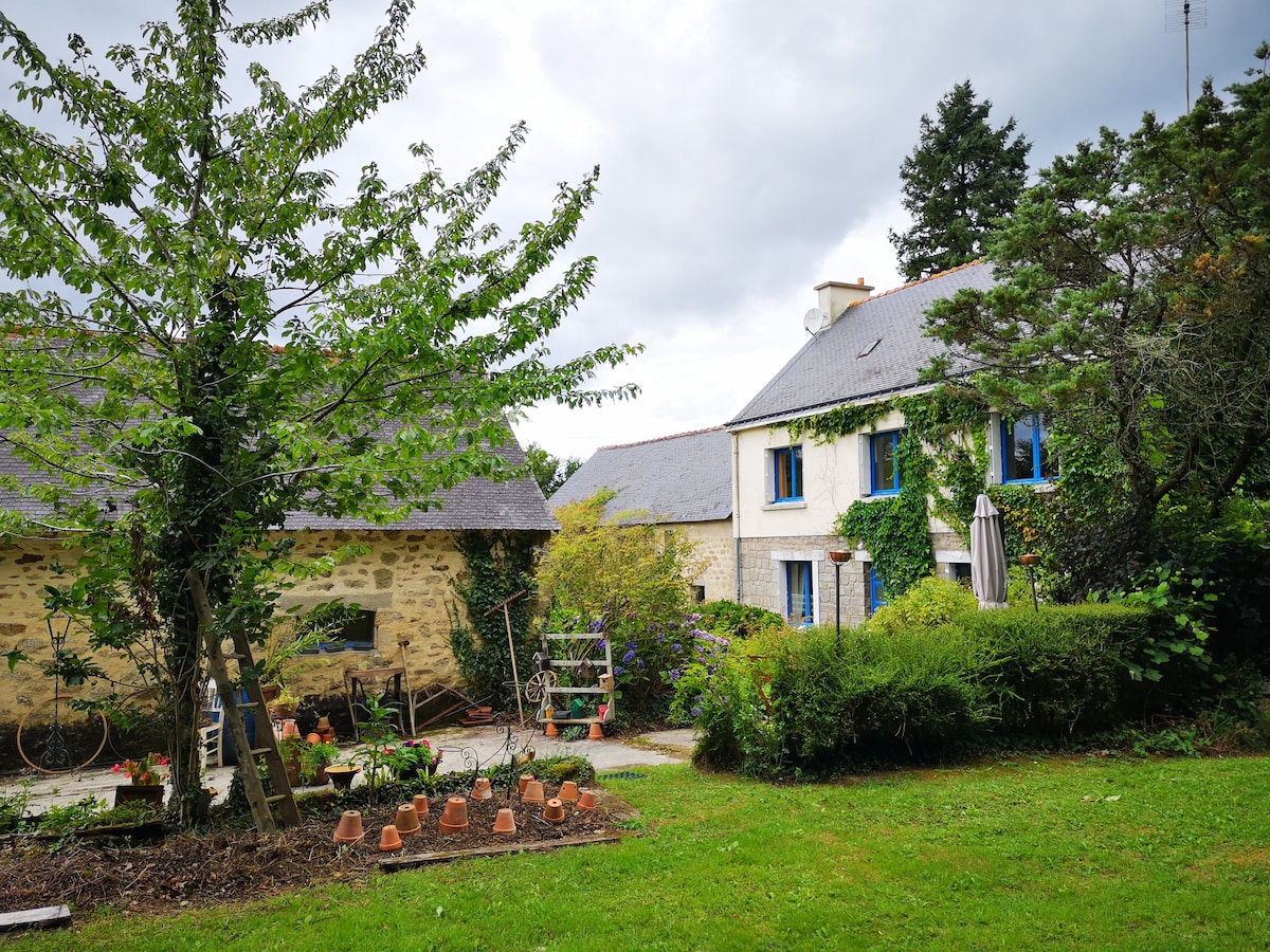 House in absolute calm in a botanical garden