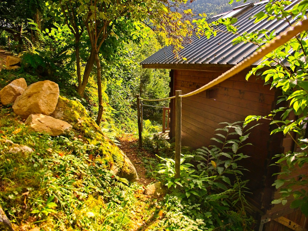 Péma度假木屋（ Chalet Péma ） ，位于贝尔松（ BELLONNE MASIF ）